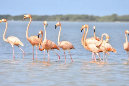 RUTA EXCLUSIVA DE VIAJE AL CABO DE LA VELA